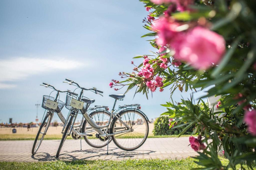 Jízda na kole v ubytování Hotel Excelsior nebo okolí