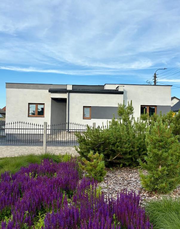 a white house with a garden of purple flowers at Biebrzańska Dolina 2 in Goniadz