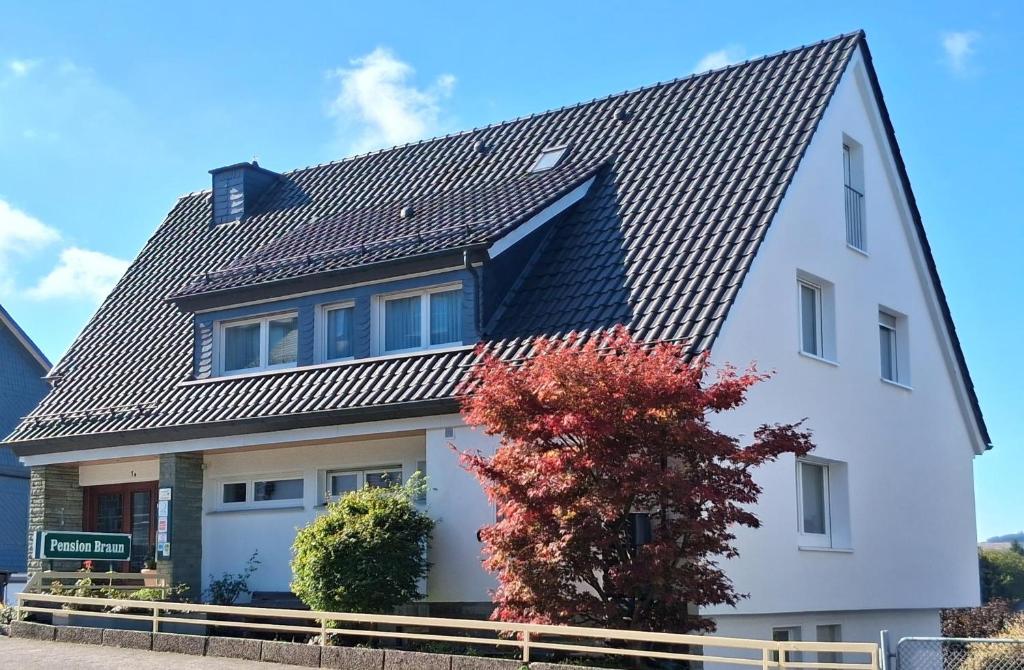 a white house with a gambrel roof at Pension Braun in Winterberg