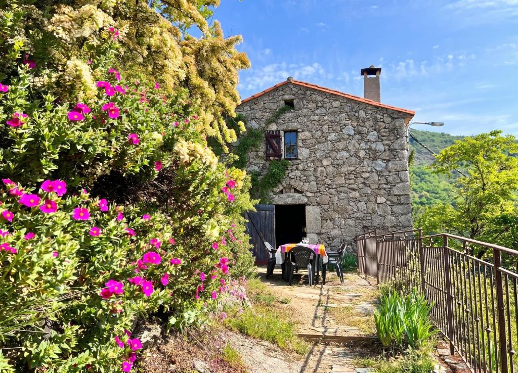 an old stone house with pink flowers in front of it at Maison charmante à Valleraugue avec piscine partagée. in Valleraugue