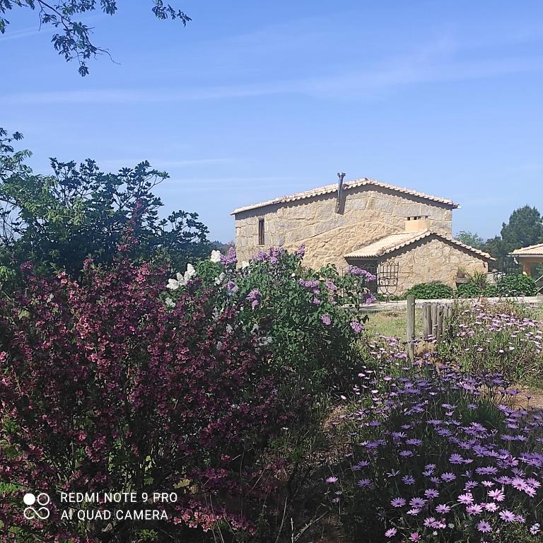 a garden with flowers in front of a building at Quinta Damigo in Seia