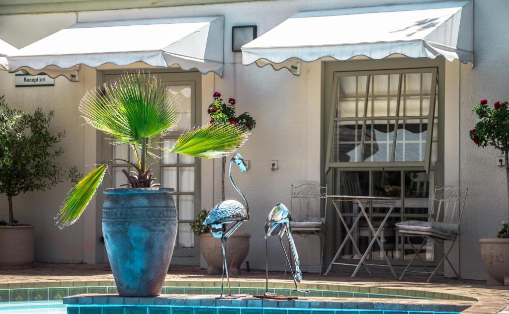 un gran jarrón azul con plantas en una piscina en Wild Olive Guest House, en Ciudad del Cabo