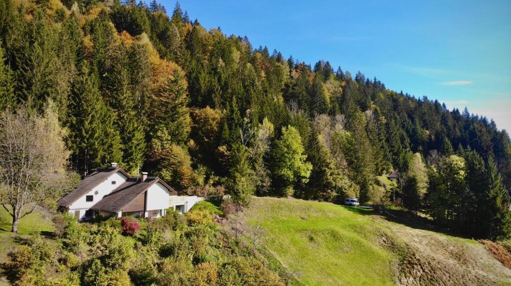 a house on the side of a hill with a forest at Haus König in Kirchbach
