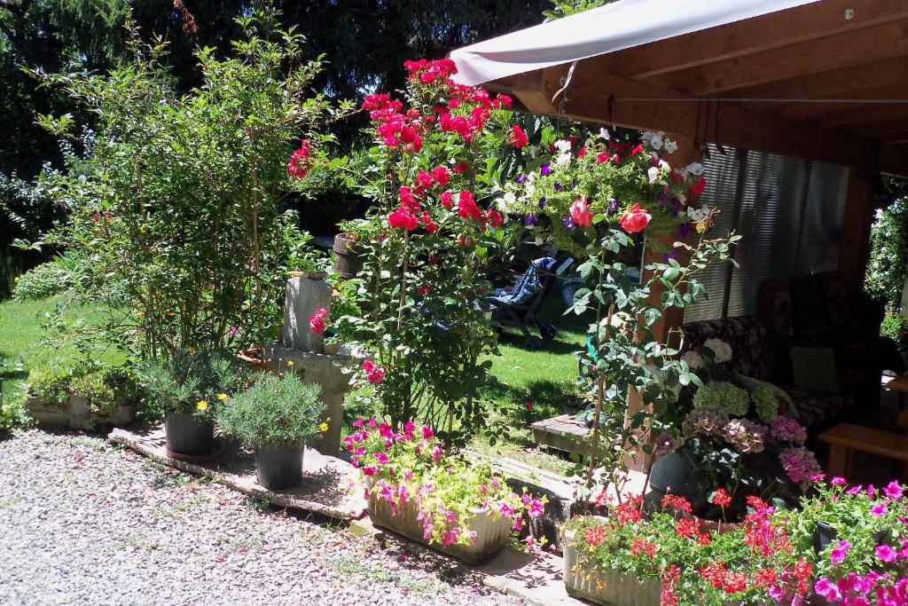 un jardin avec des fleurs et des plantes en pots dans l'établissement Borgoeden, à Borgo Val di Taro