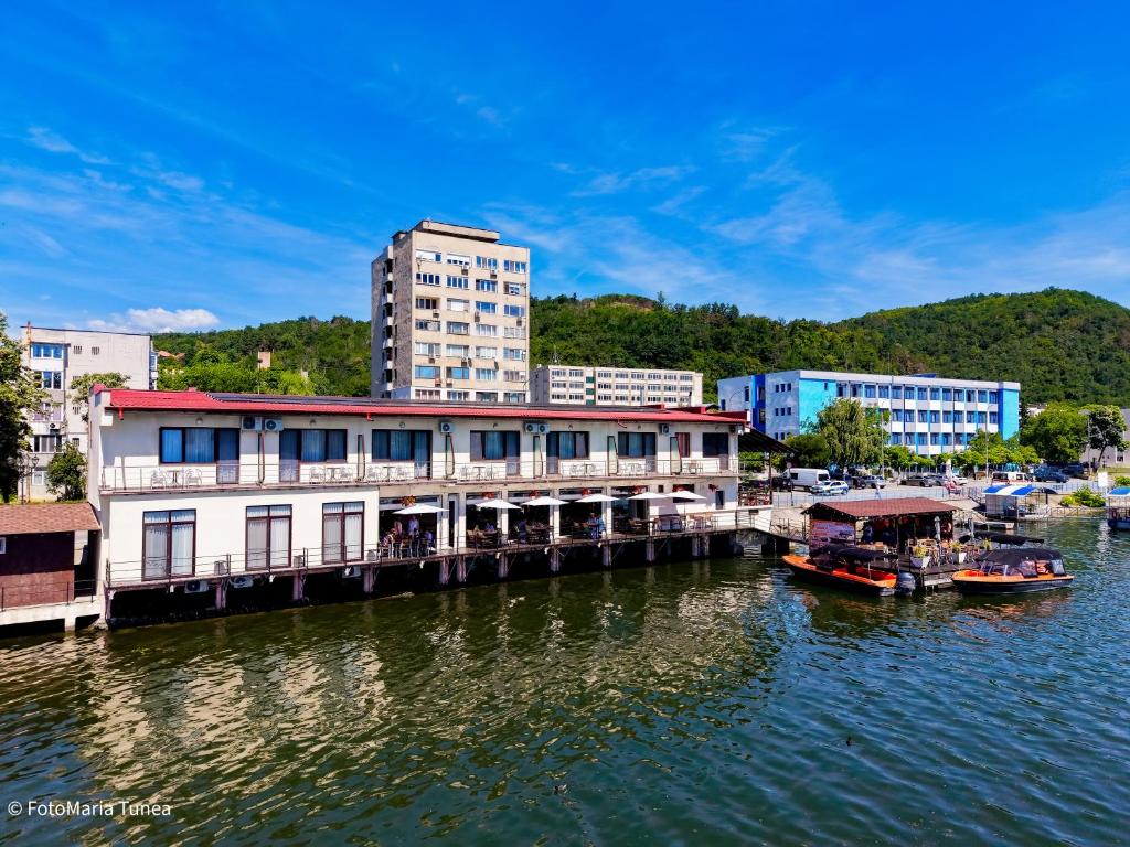 a group of boats docked at a dock on a river at Pensiunea Damiro in Orşova