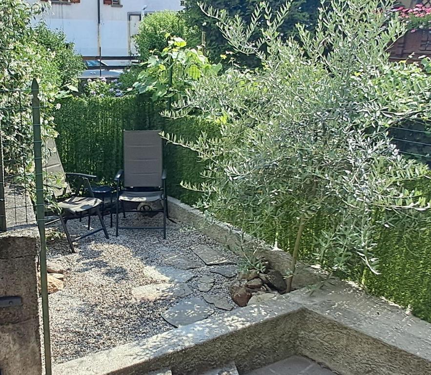 a small garden with a chair and a plant at Casa Olivia in Margno