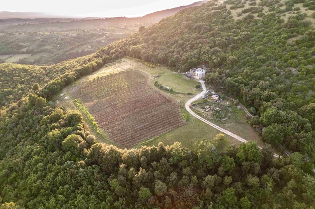 an aerial view of a field in the middle of a forest at La casa del tartufo in Torri in Sabina