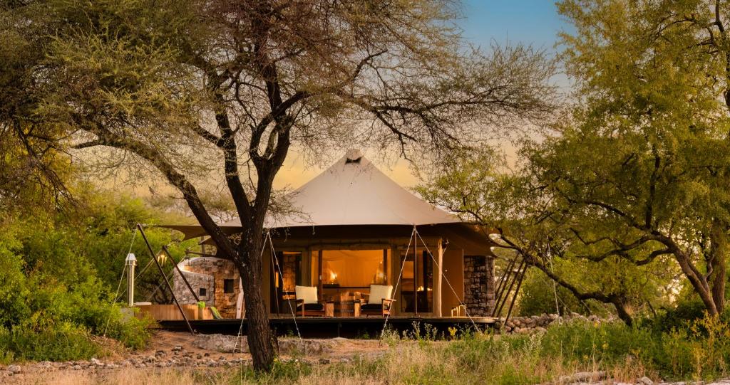 a safari tent in the middle of the trees at Onguma Tented Camp in Mokuti Lodge