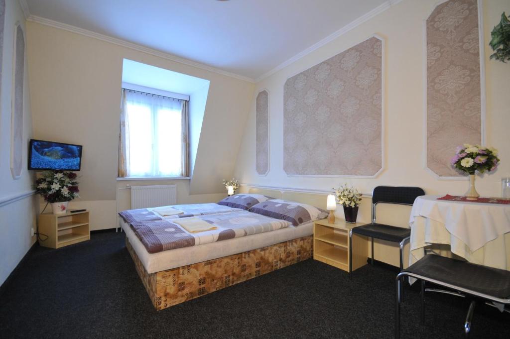 Pension Velický Zámocek - Resim 31