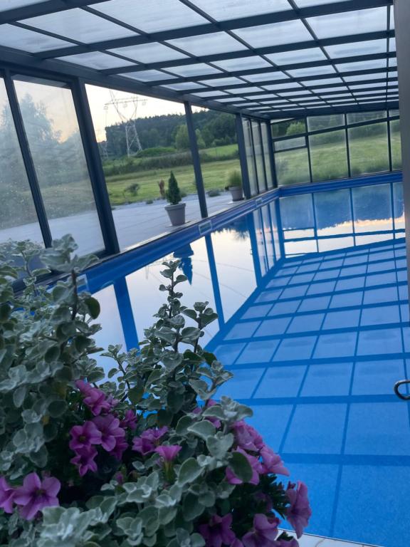 a view of a swimming pool with purple flowers at Domki Florentyna Szklarska Poręba-Wojcieszyce in Wojcieszyce