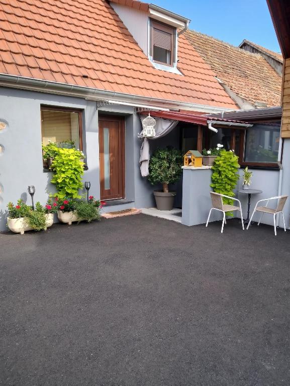 Appartement cosy Wintzenheim + terrasse – photo 17