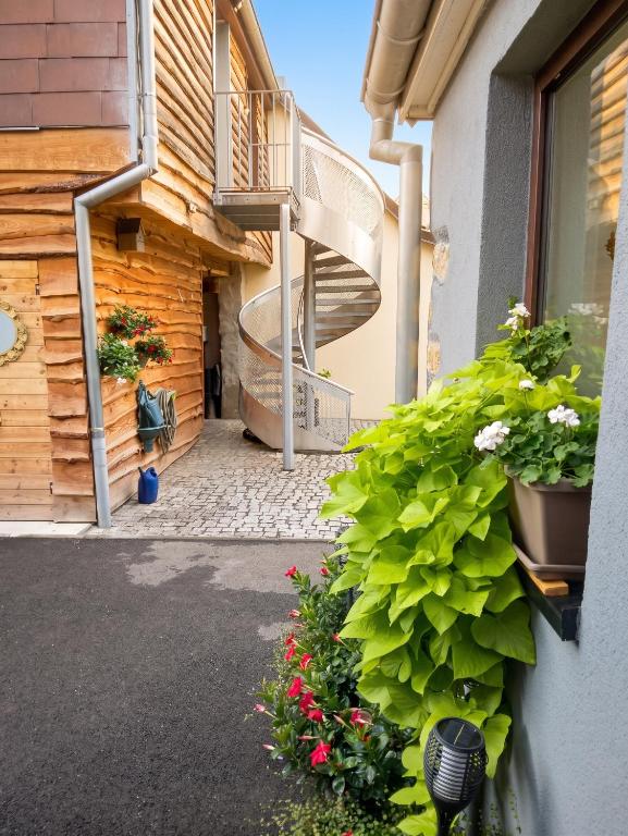 Appartement cosy Wintzenheim + terrasse – photo 16