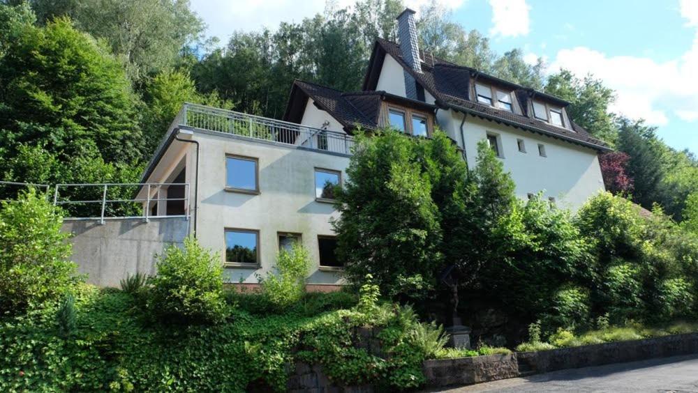 a house on the side of a hill with trees at Ferienwohnung am Hainer Berg in Heigenbrücken