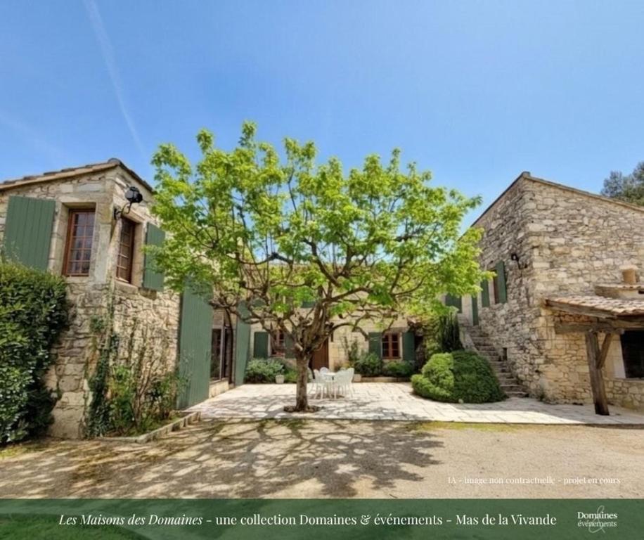 a stone house with a tree in front of it at Le Mas de la Vivande in Marsanne
