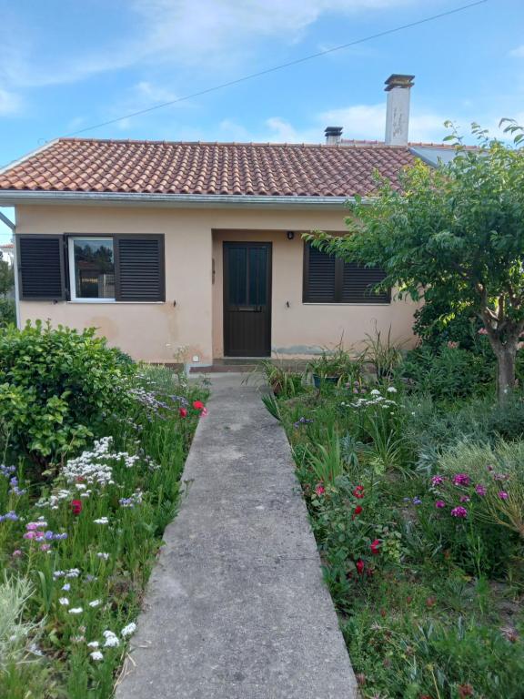 a house with a walkway in front of a garden at Ze Carlos Simoes in Mira