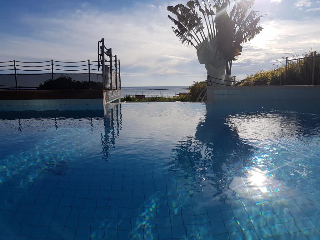 a swimming pool with a palm tree and the ocean at Appartement au Chateau Vallaya in Menton