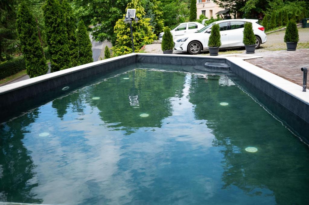 una pozza d'acqua con un'auto parcheggiata in un vialetto di Szandy a Sovata