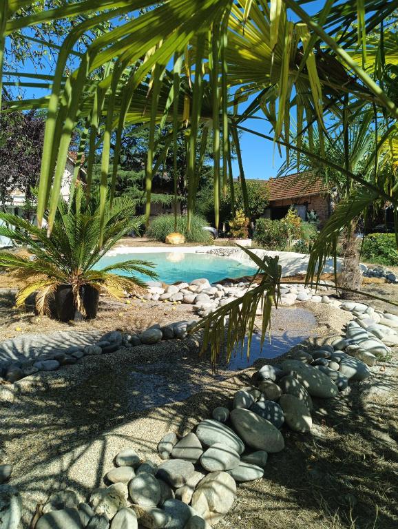 a swimming pool with a palm tree and rocks at Le Clos St Justin Votre étape sur la route des vacances à 10 mn de Center Parc et Chambord in Ligny-le-Ribault