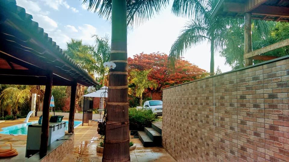 a house with a palm tree and a brick wall at chacara Recanto do ssosego in Olímpia