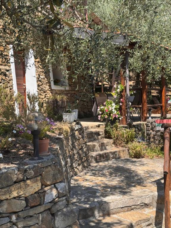 a garden with a stone wall and trees and flowers at Nostro Rifugio in Apricale