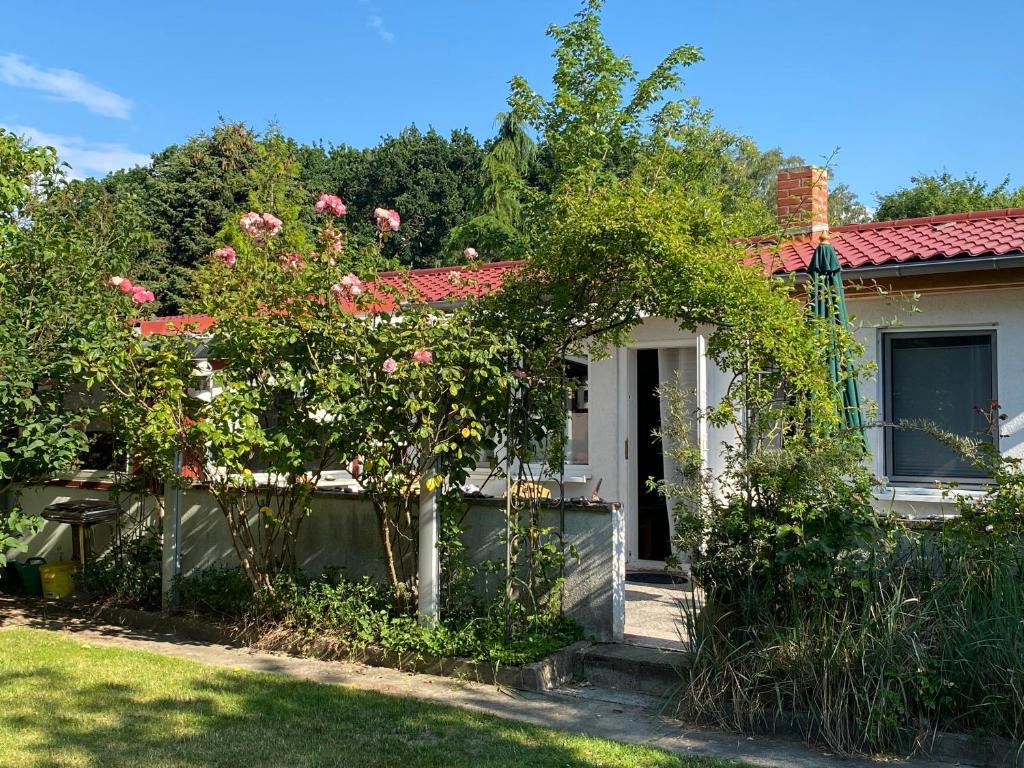a house with a flowering tree in the yard at Ferienhaus Ahrenshoop in Ahrenshoop