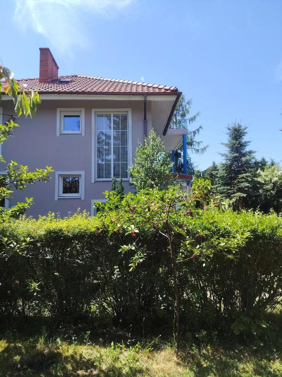 a house with a hedge in front of it at Willa Myśliwska Giżycko in Giżycko