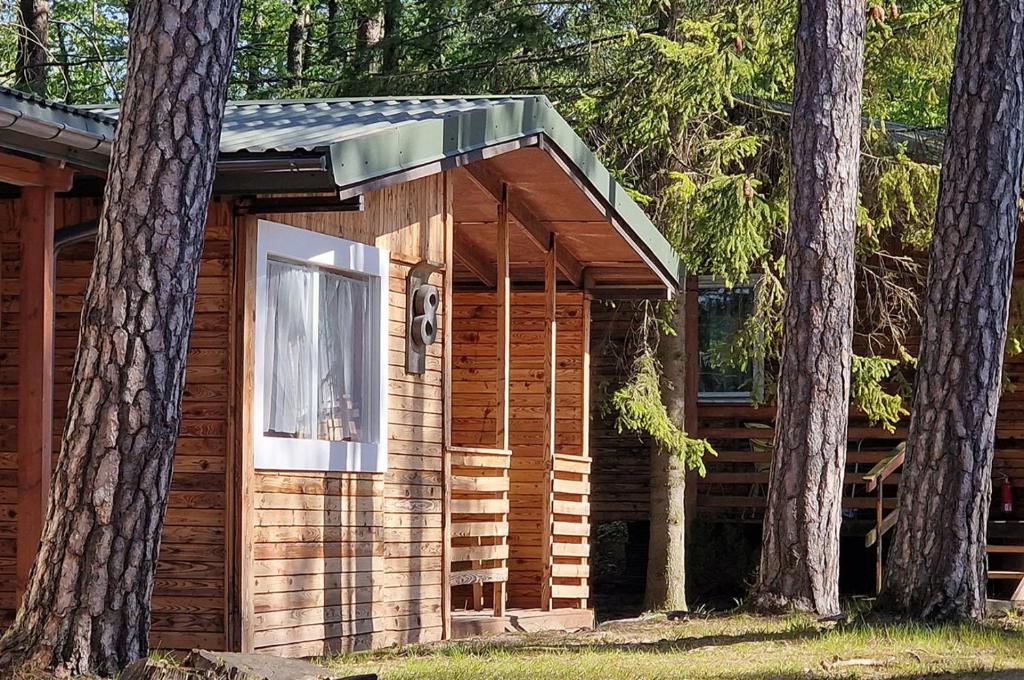 a wooden cabin with trees in front of it at Siedlisko Bartek domki na Kaszubach nad jeziorem Mausz in Sulęczyno
