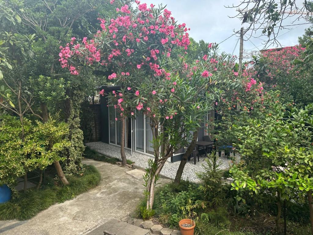 a tree with pink flowers in front of a house at კოტეჯი ბუნებაში in Kvariati