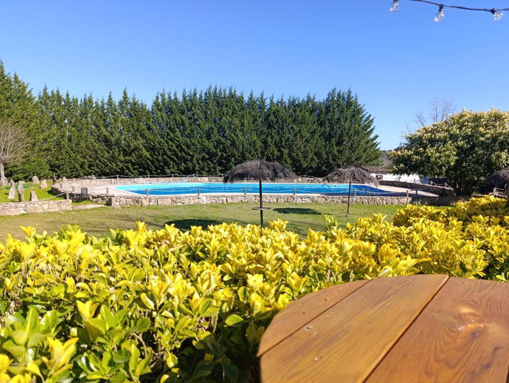 a wooden table in front of a hedge with a pool at Camping Arribes del Duero in Lumbrales