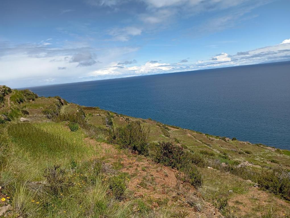 a grassy hill with the ocean in the background at Hospedaje Mamani de isla amantani in Puno