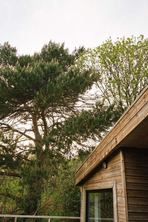 a tree on top of a roof of a house at Carrière Sauvage in Pont-Aven
