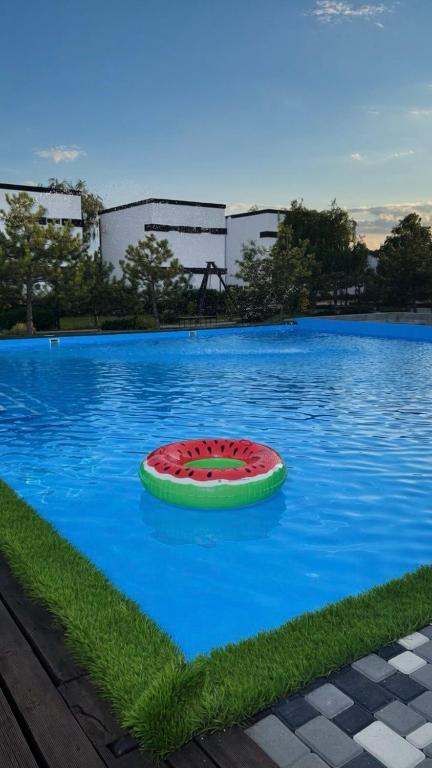 a green and red frisbee sitting on top of a pool at White Villas Koblevo in Koblevo