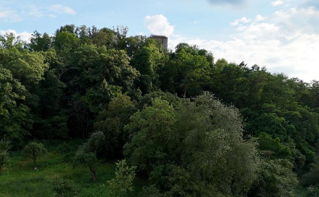 an overhead view of a forest of trees with a castle at Apartment am Kalsmunt in Wetzlar