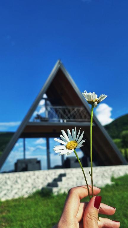 a person holding two flowers in front of a building at Nest for Rest Nova Varos in Nova Varoš