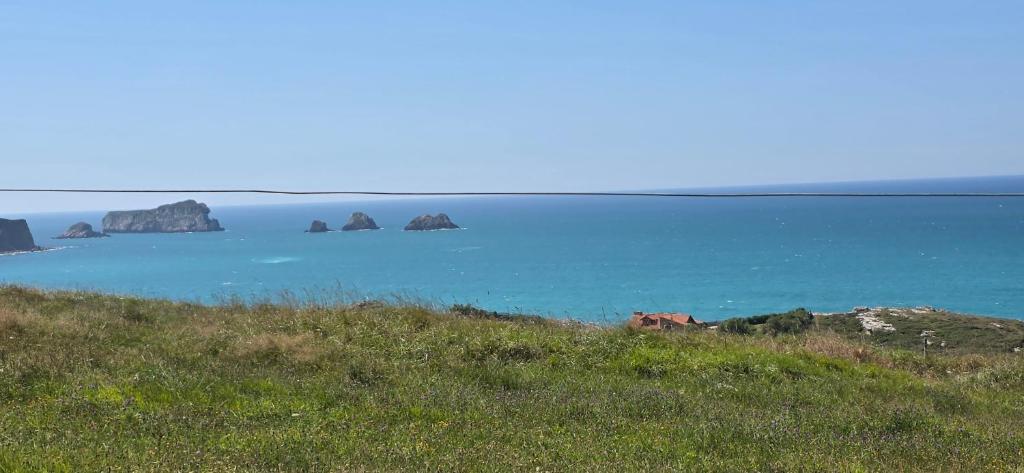 a horse standing on a hill next to the ocean at Casita Costa in Miengo