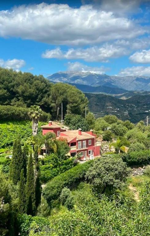a house in the middle of a field with trees at Casa Martens in Monda