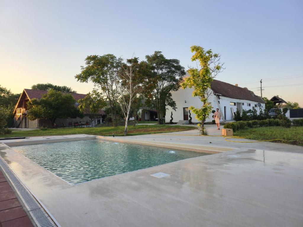 a swimming pool in a yard with a house at Imanje Dorf in Ravno Selo