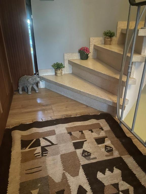 a dog standing in a hallway with a rug and stairs at Campe Good in Waterloo