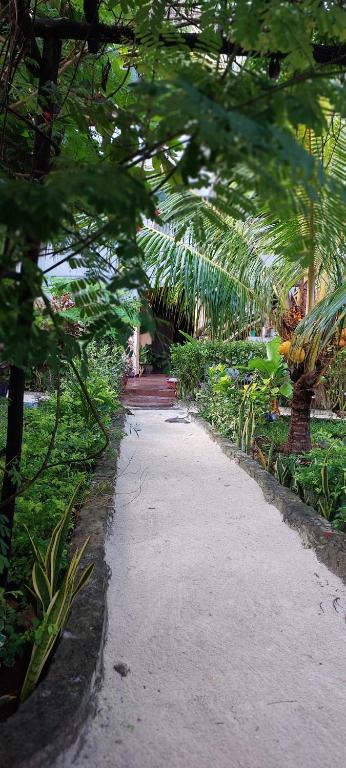 a walking path with palm trees in a park at Serene Apartments in Kinyasini