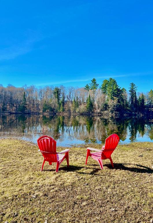 two red chairs sitting on a field next to a lake at Quiet Bay Lakeside Escape in Magnetawan