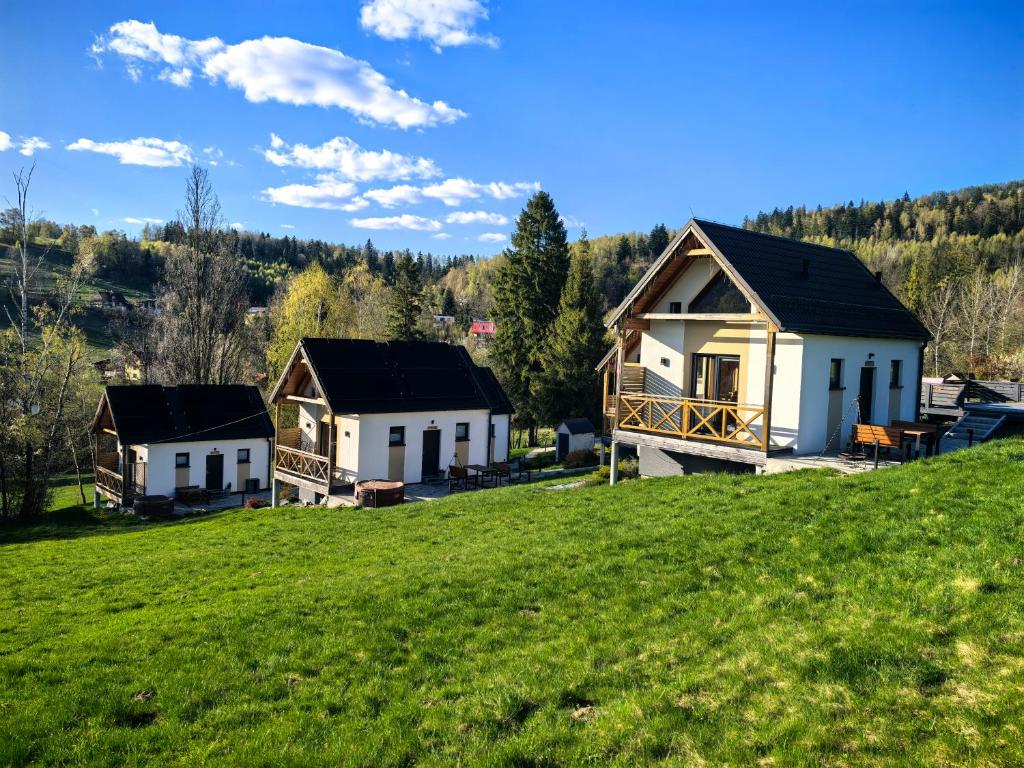 a group of houses on a grassy hill at Chatki wisla houses in Wisła