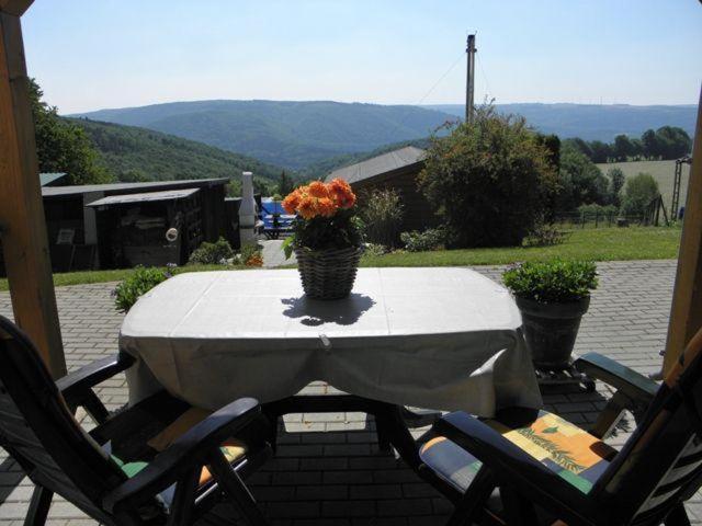 a table with a vase of flowers on a patio at Ferienwohnung-Rurseeidyll in Simmerath