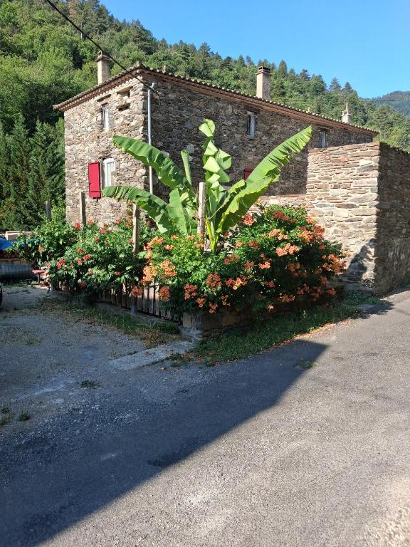 a plant in front of a building with flowers at Le mas des Anglades in Saint-André-de-Valborgne