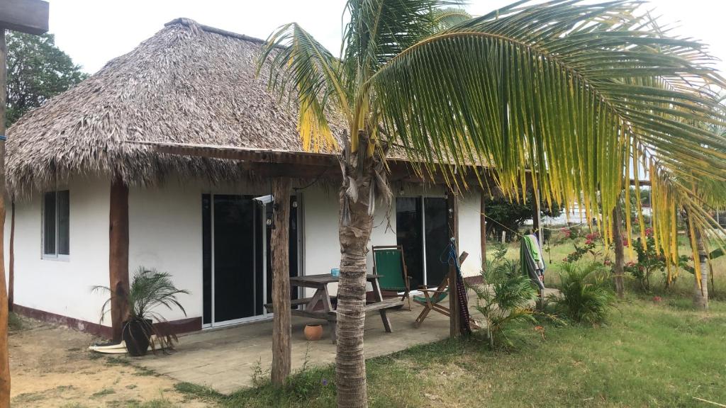 a small house with a thatched roof and a palm tree at Thirstybeaver in Playa Santana