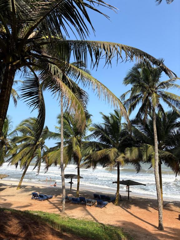 a beach with palm trees and people on the beach at Sunflower Beach Resort in Senya Beraku