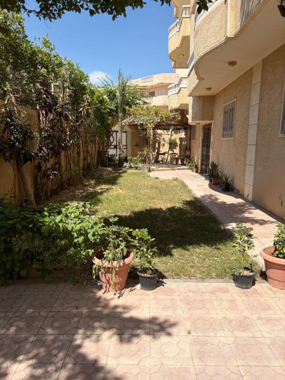 a yard with potted plants and a building at Villa agamy in Burj al ‘Arab al Jadīdah