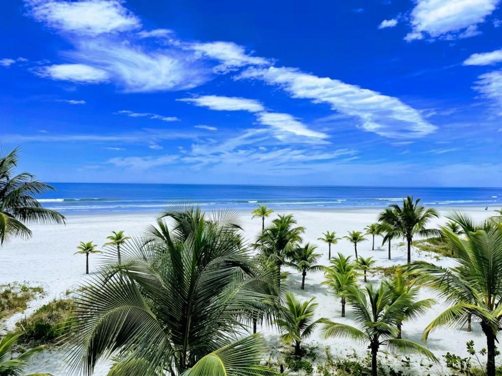 a view of a beach with palm trees and the ocean at Sussurros do Mar in Bertioga