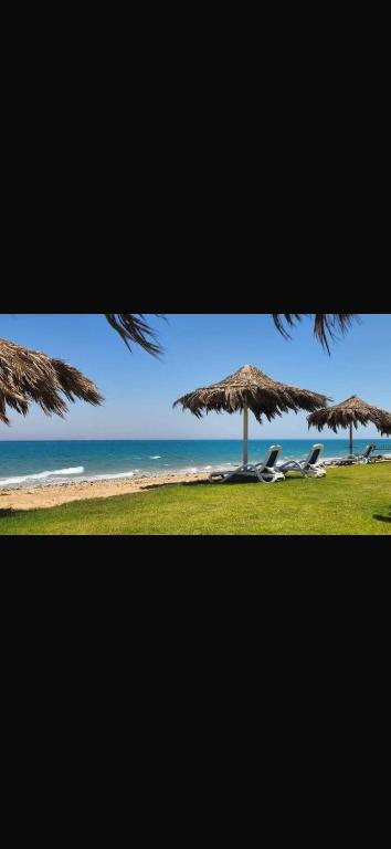 a beach with umbrellas and chairs and the ocean at Lavista 7 in Ain Sokhna