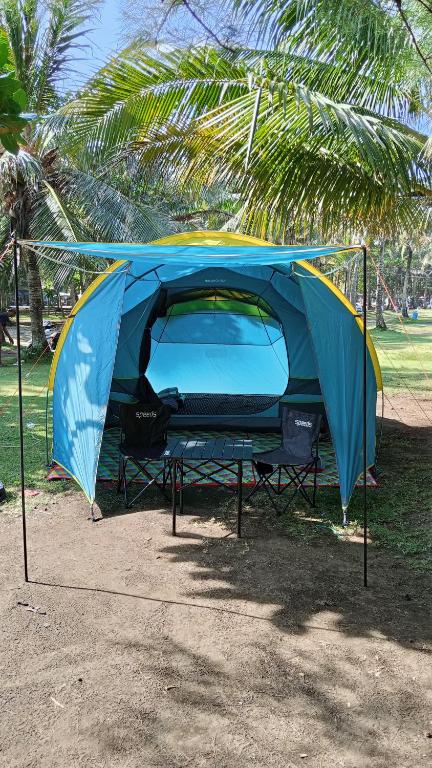 a tent is set up on the grass near a palm tree at Tenda Premium Pantai Madasari in Bulakbenda