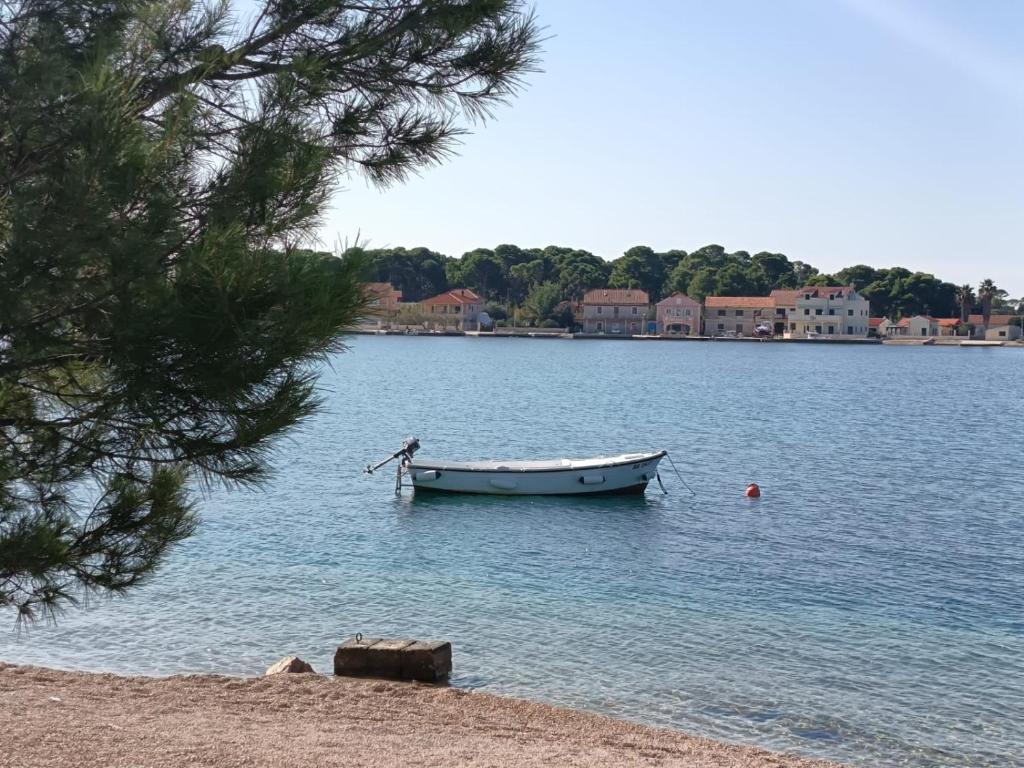 a boat sitting in the middle of a lake at Apartman Lea in Brodarica